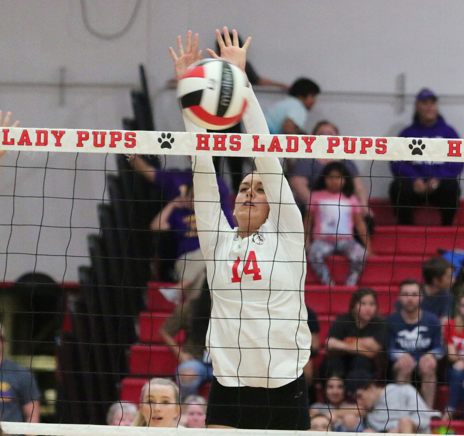 Bullpups claim victory over Tigers in thrilling season finale